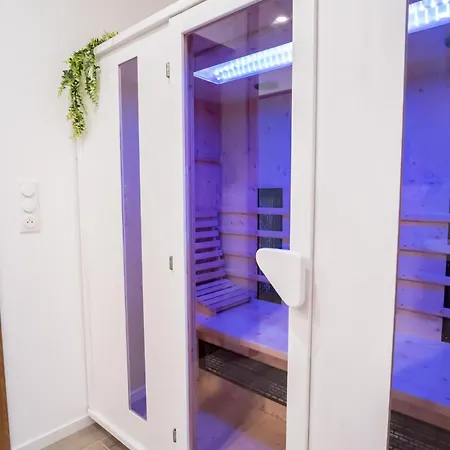 Apartament La Interdite Jacuzzi, Sauna & Piece Secrete Nancy